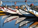 Del Ria boats 31